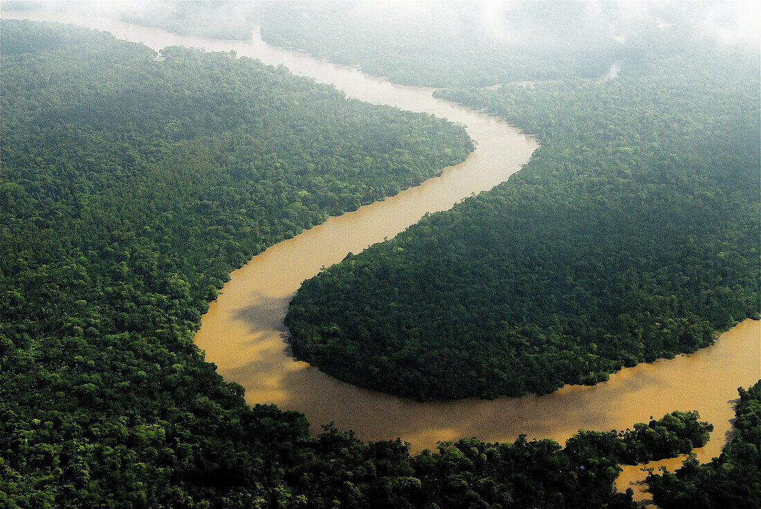 Aerial view. Amazon. Brazil.