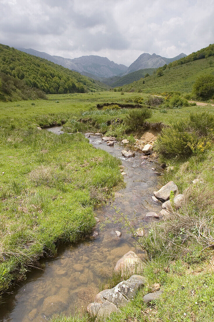 Creek. Mirva valley, Buron, Picos de Europa National Park, Leon province, Castilla y Leon. Spain.