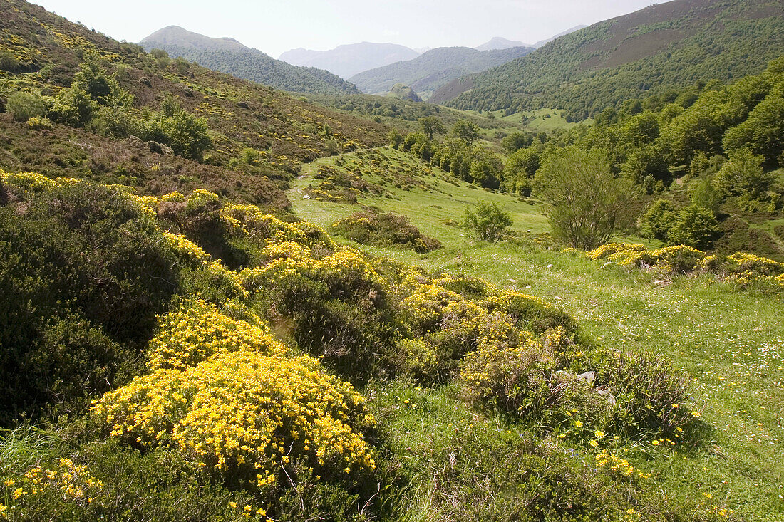 Ventaniella valley, La Uña, Leon province, Castilla y Leon. Spain.