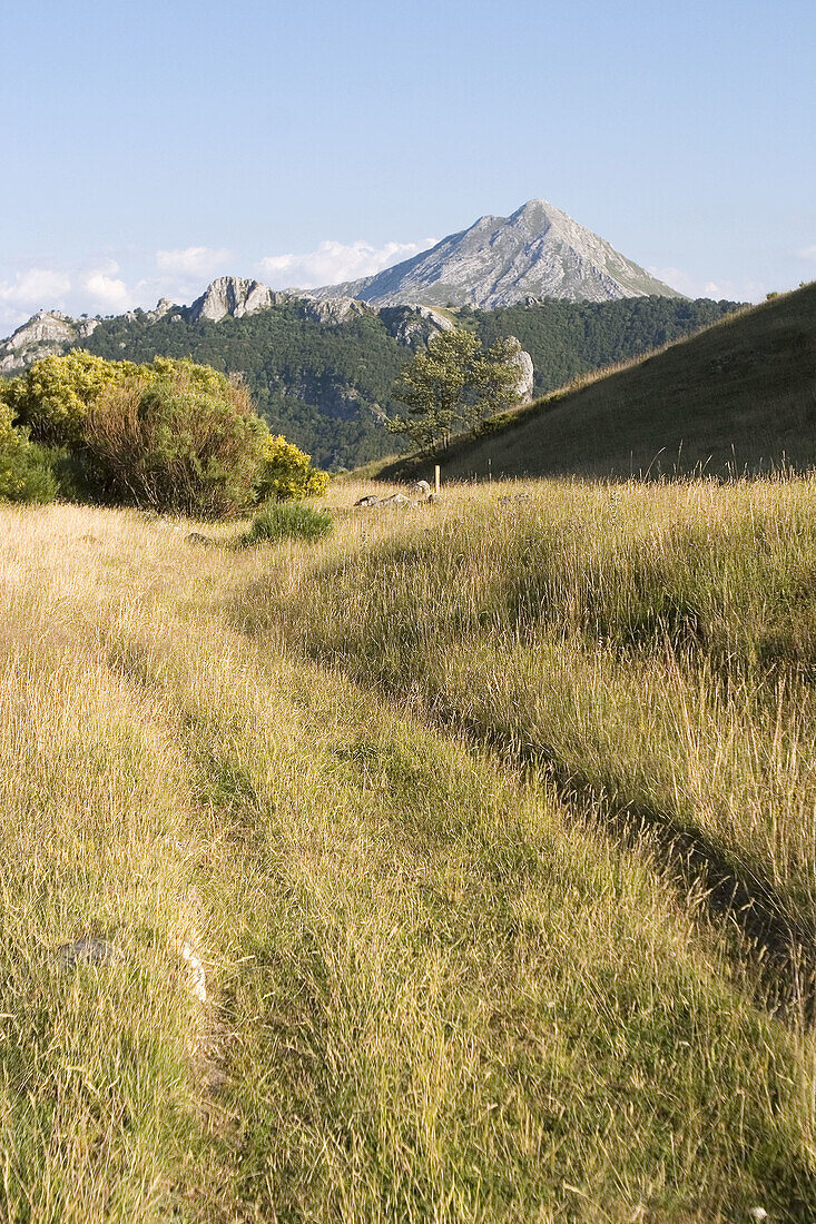 Susaron peak. Puebla de Lillo, Leon province, Castilla y Leon. Spain.