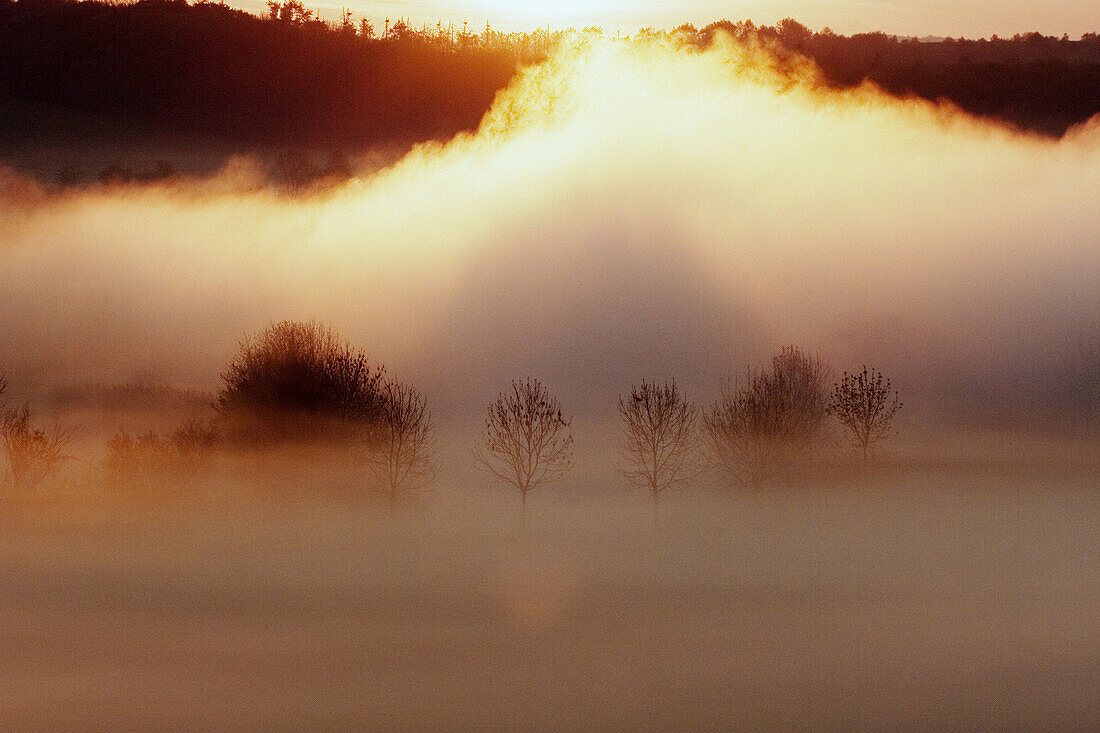 Sunrise in foggy morning at the woernitz (Wörnitz) river. A big screen of fog at the woernitz river, Middle Franconia, Bavaria/Germany