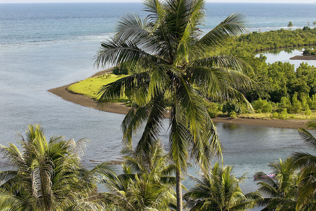 Tasikoki, tropical seashore with mouth of a river, palm trees and mangrove forest, Sulawesi, Indonesia