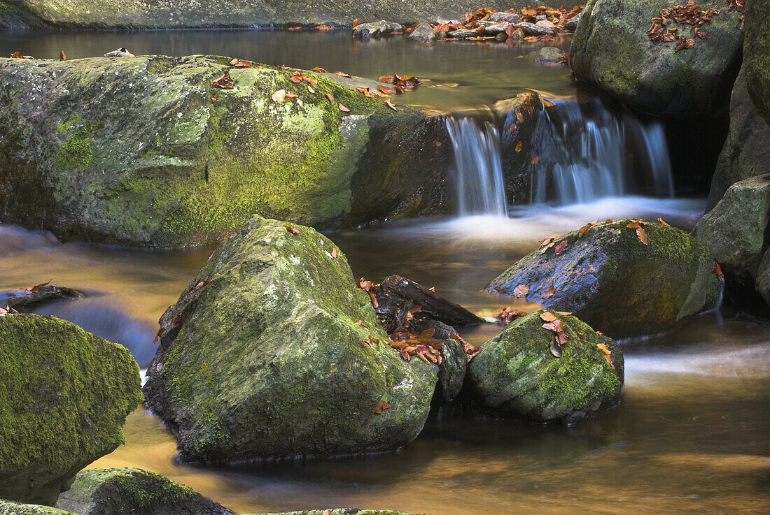Steinklamm, mountain creek in autumn, waterfall and  granite rocks, Bavarian Forest, Bavaria
