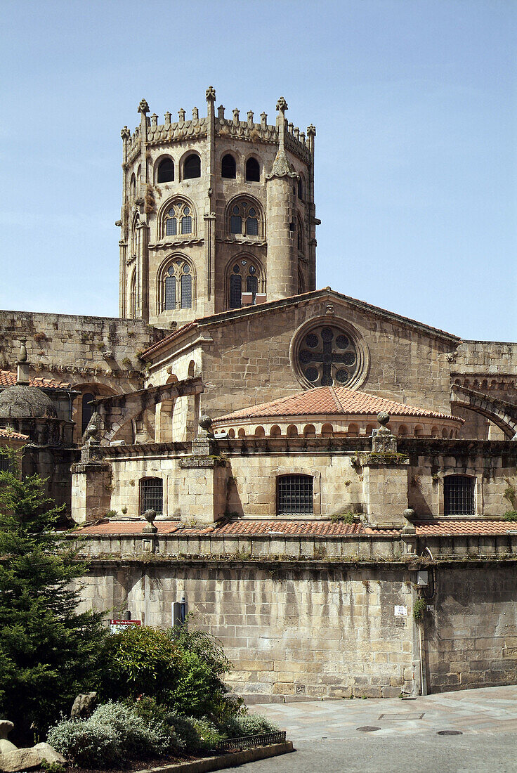 Cathedral of St. Martin. Plaza de las Flores. Ourense. Galicia, Spain
