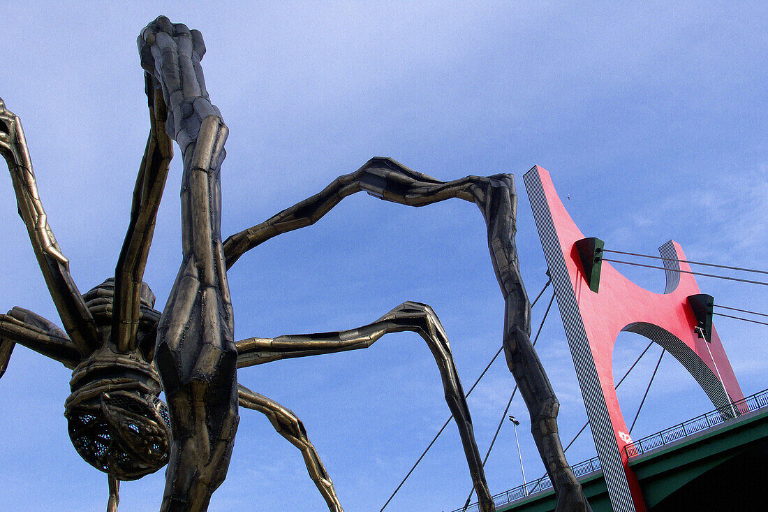 Guggenheim Museum by Frank O. Gehry. Bilbao. Biscay, Spain