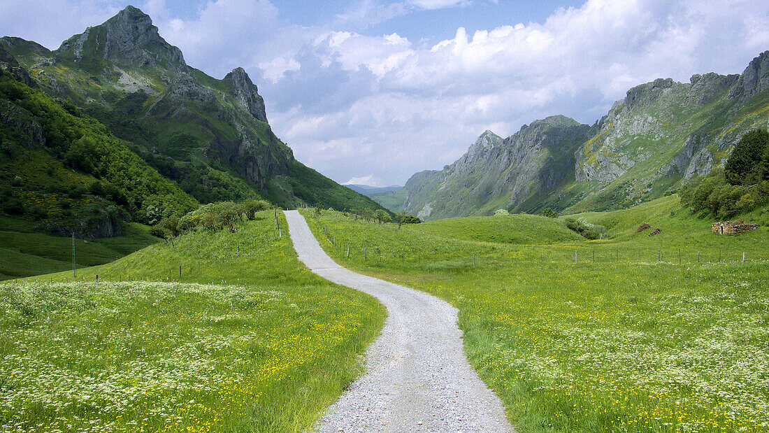 Parque Natural y Reserva de la Biosfera de Somiedo. Asturias. España