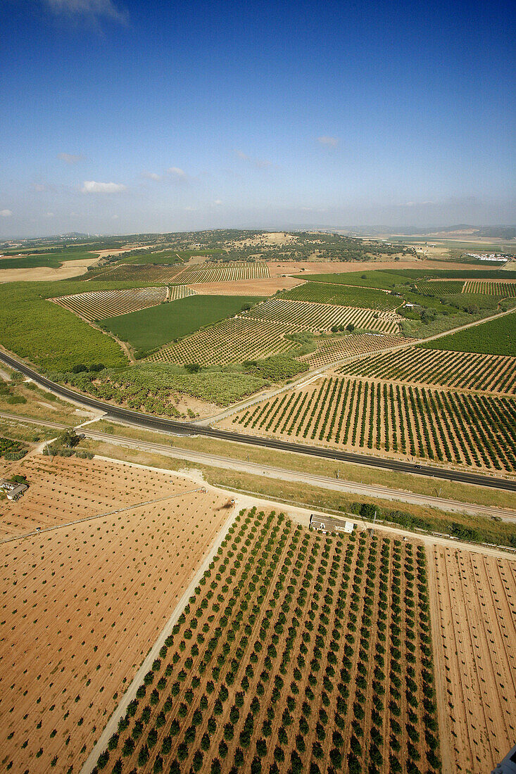 Landscape, Sierra Morena, Hornachuelos. Cordoba province, Andalucia, Spain