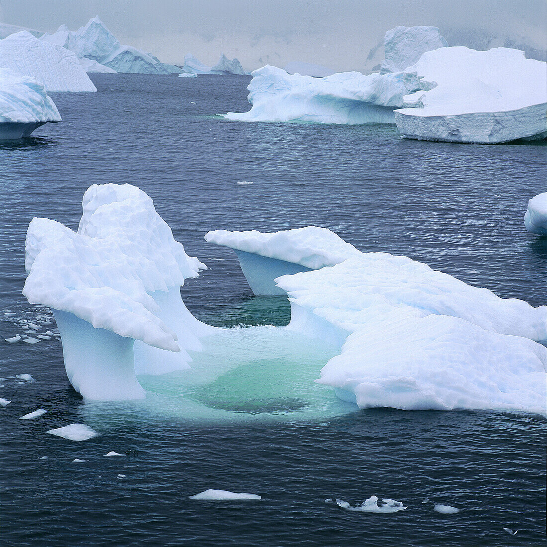 Iceberg, Antarctica