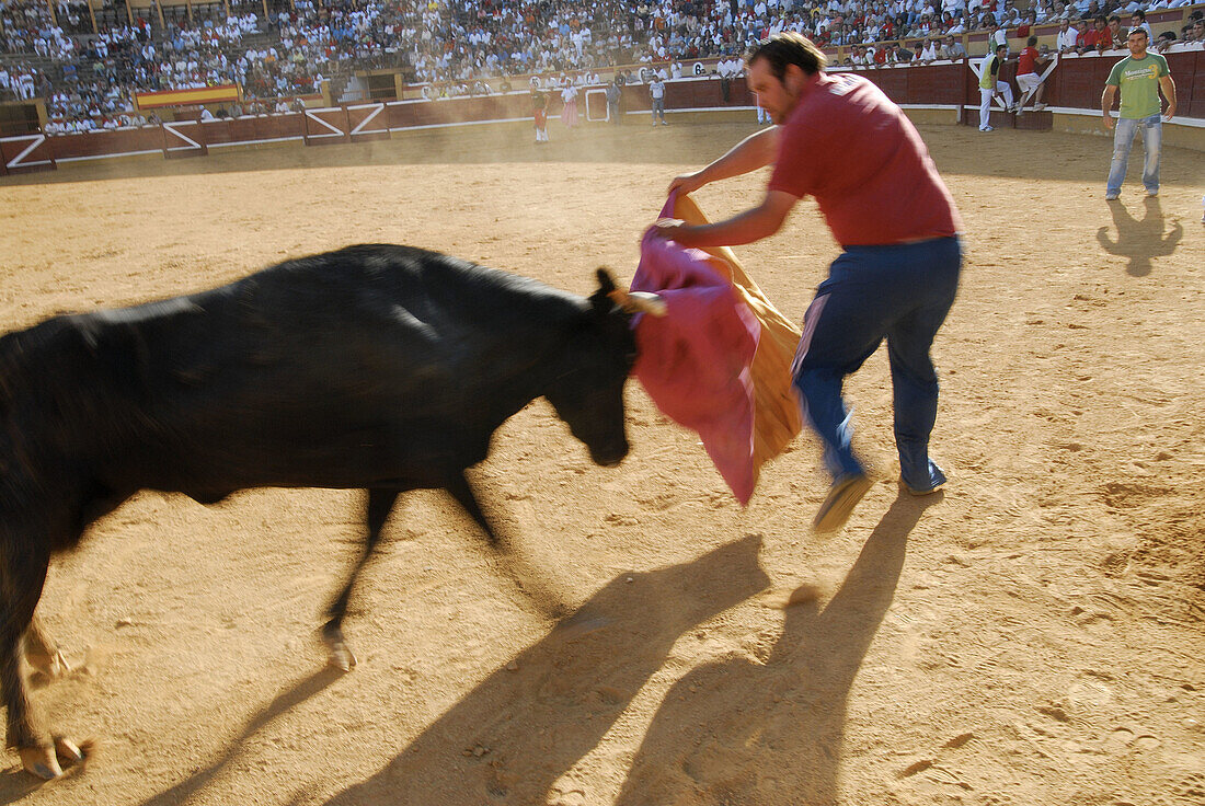 Tudela. Navarra. Spain.