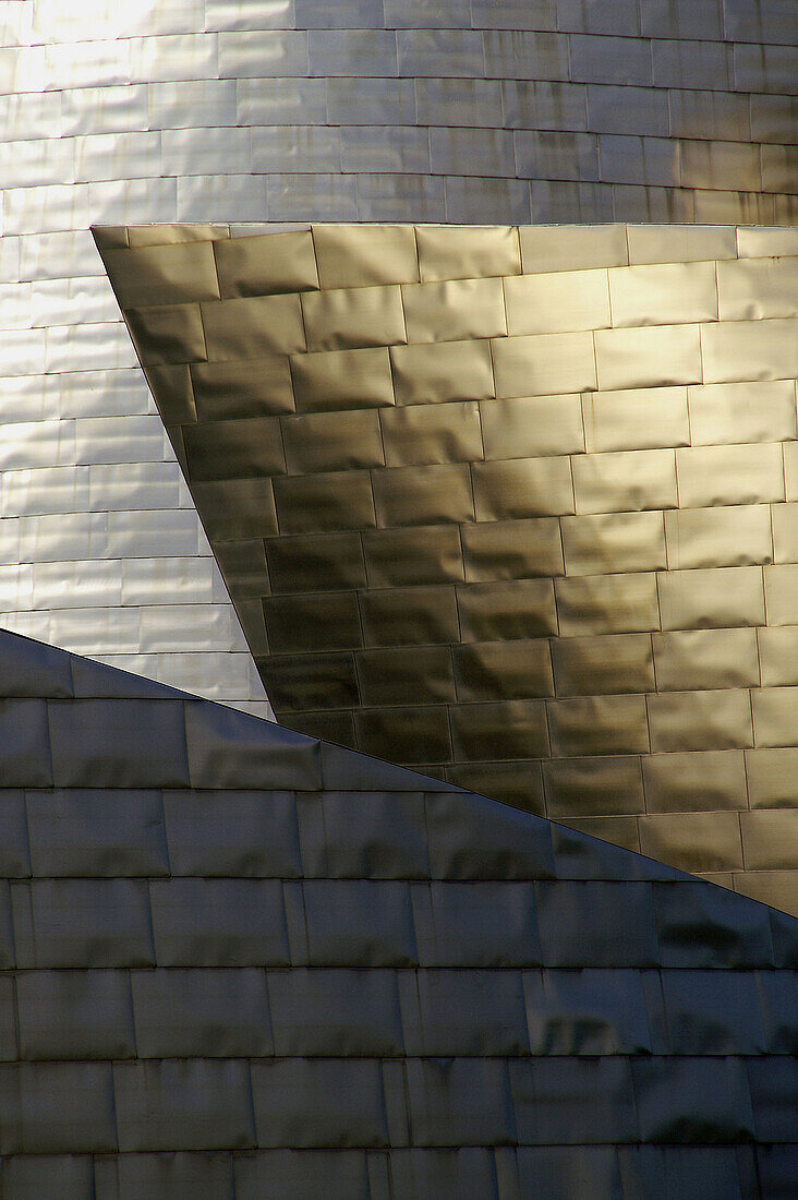 Guggenheim Museum (building by Frank O. Gehry), Bilbao. Biscay, Euskadi, Spain