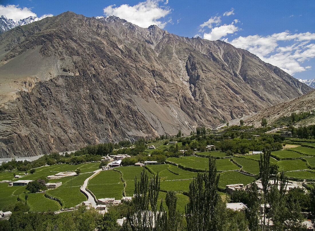 Agriculture thrives under the dry peaks of Hunza in the Karakoram mountains of Pakistan