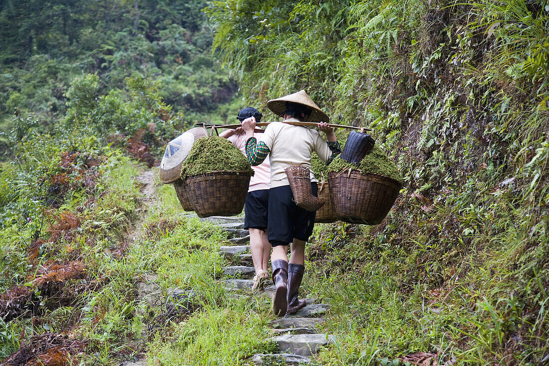Hilltribe women carrying vegetable baskets after farming, Guilin, China