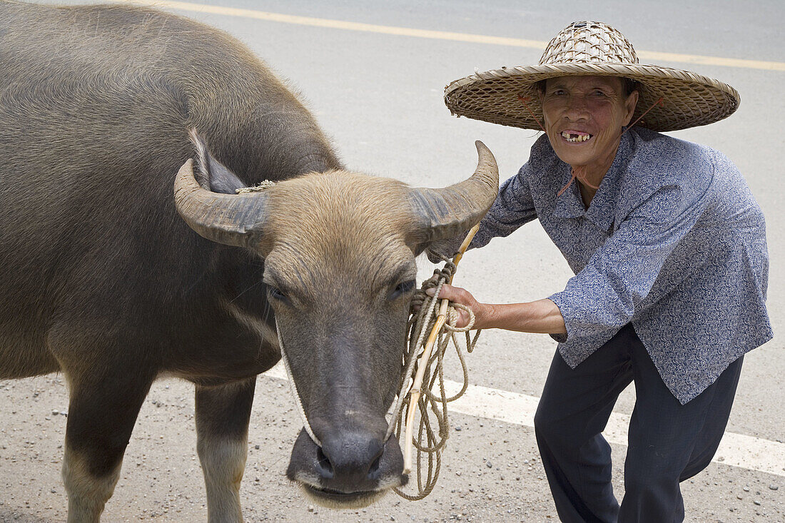Smiling old woman and her water buffalo, Guilin, China