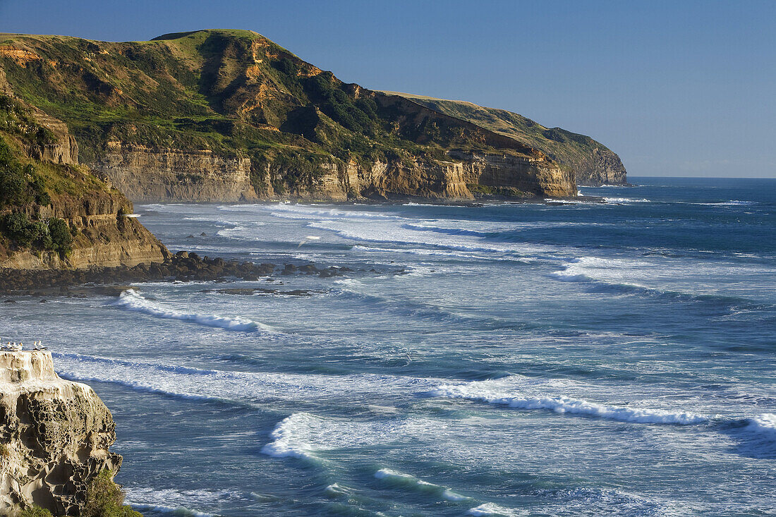 Muriwai Coast Line