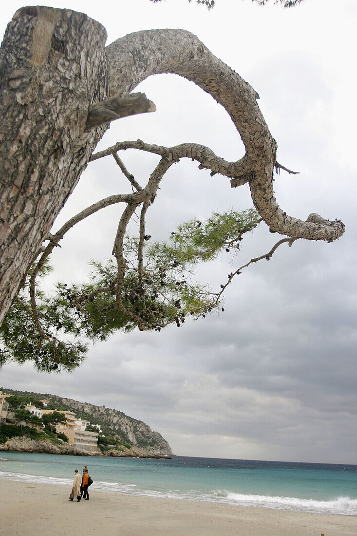 Beach landscape. Sant Elmo, Andratx, Palma de Mallorca, Balearic islands, Mediterranean Sea, Spain.