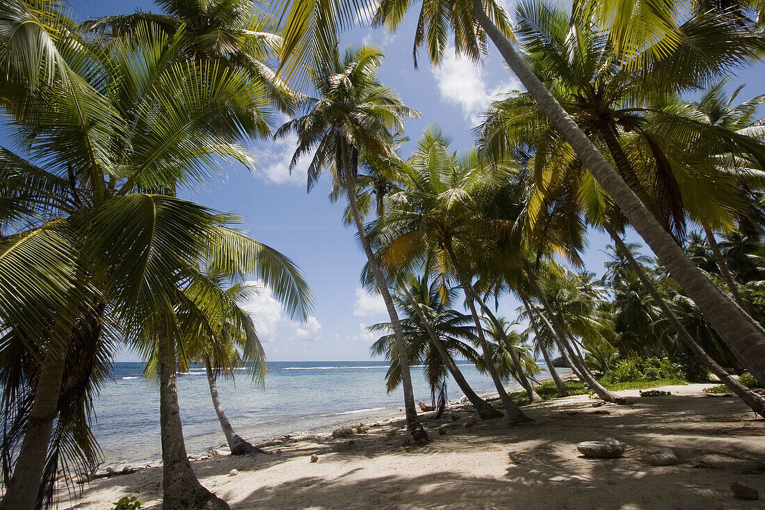 Playa Frontón, Samaná Peninsula, Dominican Republic