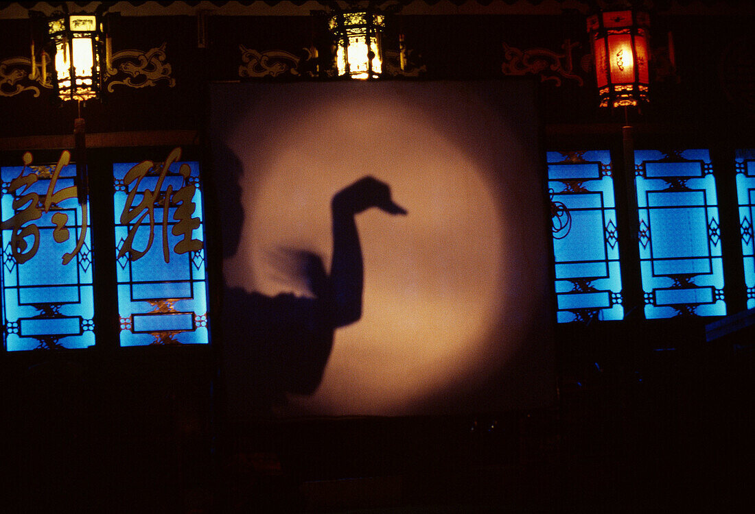 Shadow theatre, Chengdu, China, Art