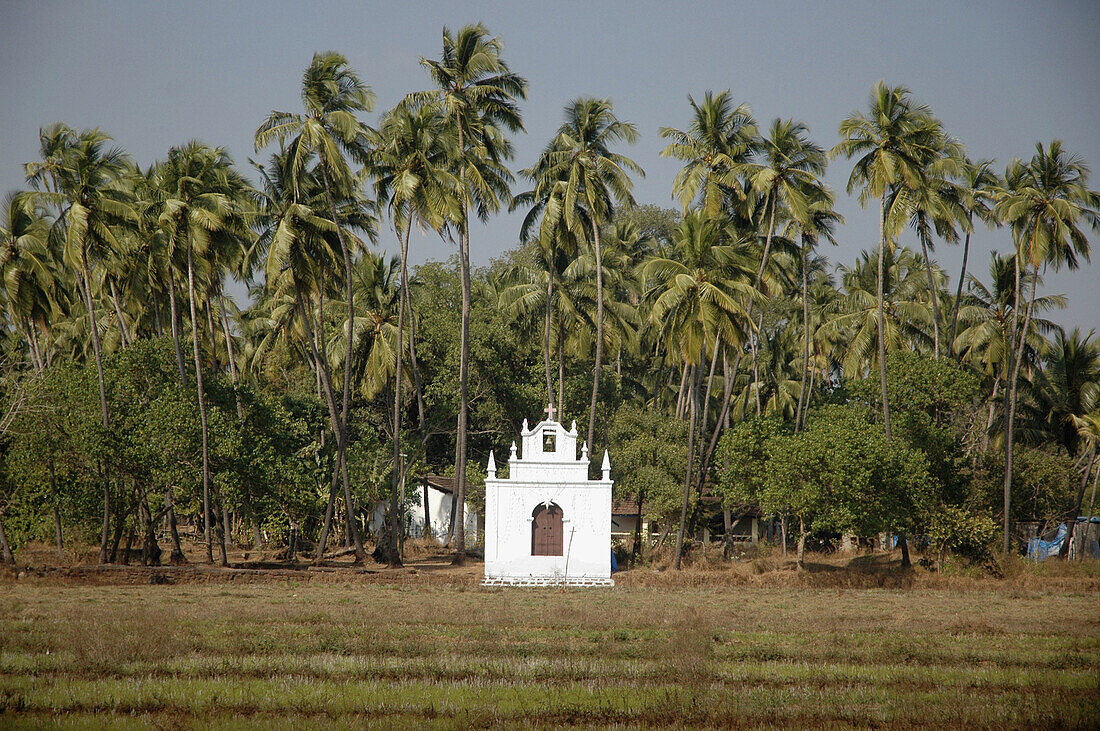 Goa India: a little church in the rice fields, on the road from Mapusa to Vagator
