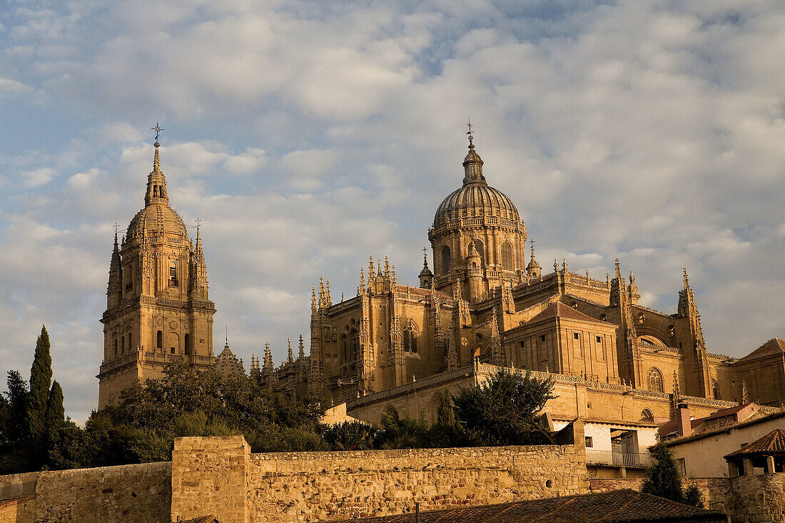 Catedral Nueva ('new cathedral'). Salamanca. Castilla-León, Spain.