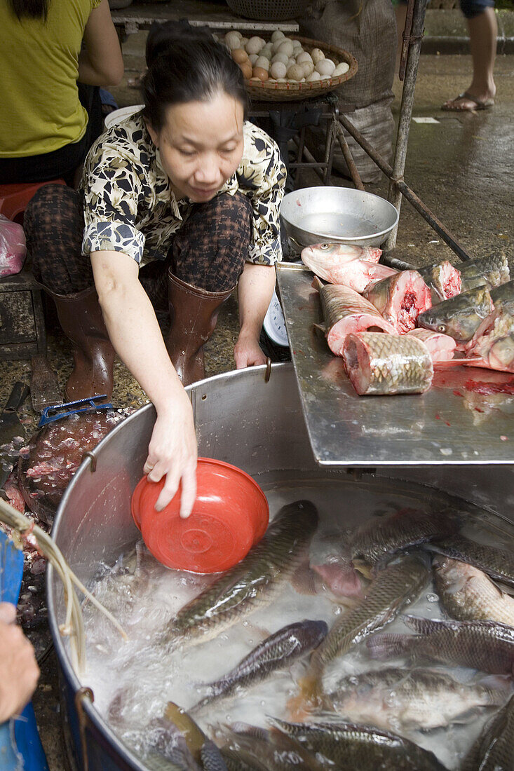 Traditional fish market. Hanoi. Vietnam