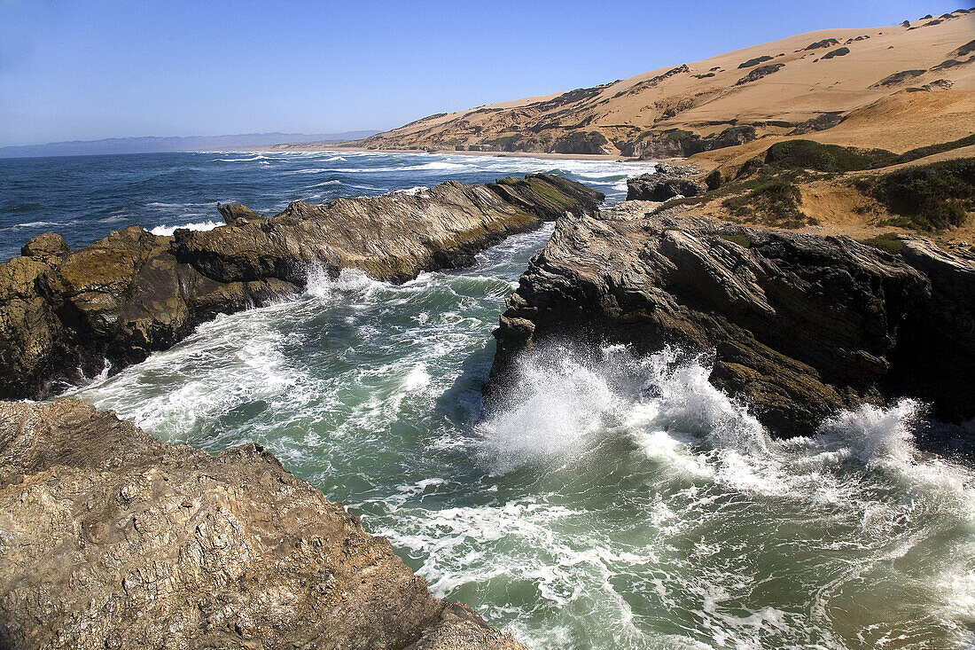 Guadalupe Beach in central California. Usa.