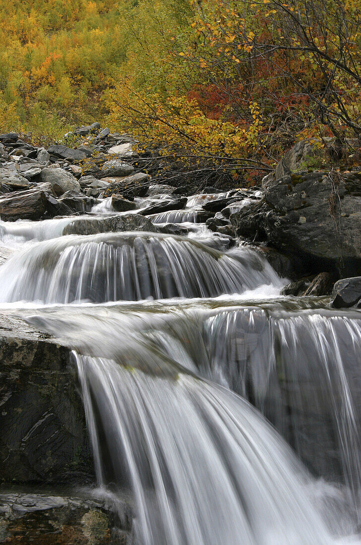 Waterfall att Njulla Abisko national park, Lappland, Sweden