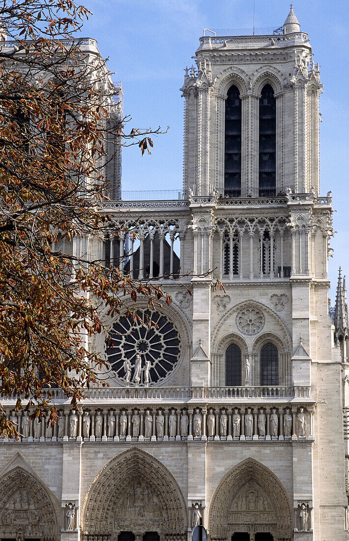 Notre Dame Cathedral, Notre_Dame de Paris, Paris, France, Europe