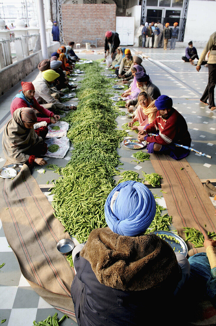 Volunteers work in the Golden temple kitchen cutting up vegetables or cooking Chapatis