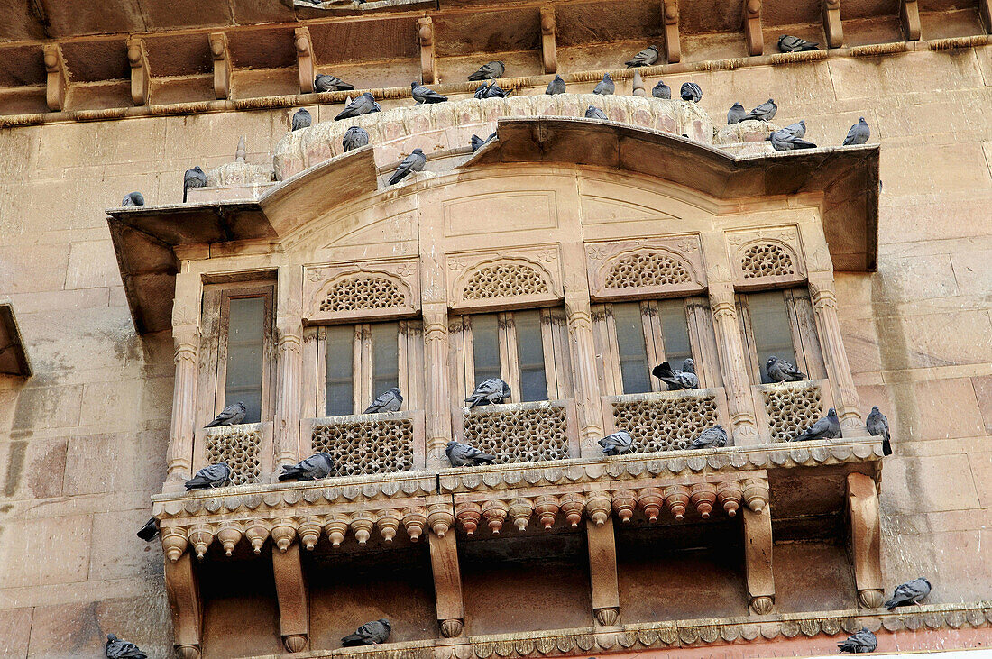 Beautiful architecture  The palace in Bikaner, Rajasthan