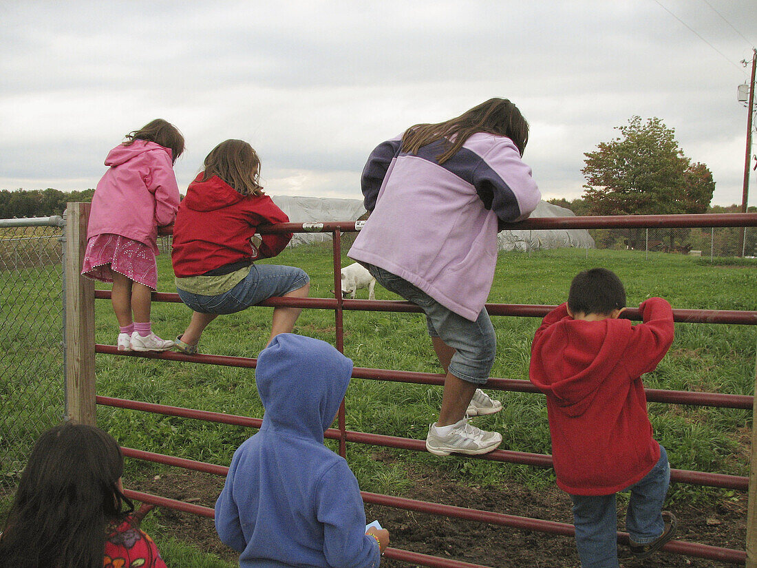 Kids climbing fence