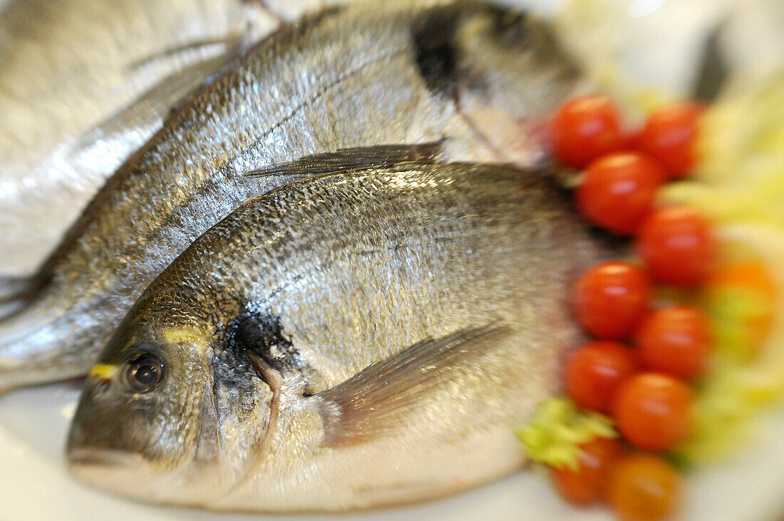 Fische und Tomaten auf einem Teller, Restaurant Da Cesare, Bozen, Südtirol, Italien, Europa