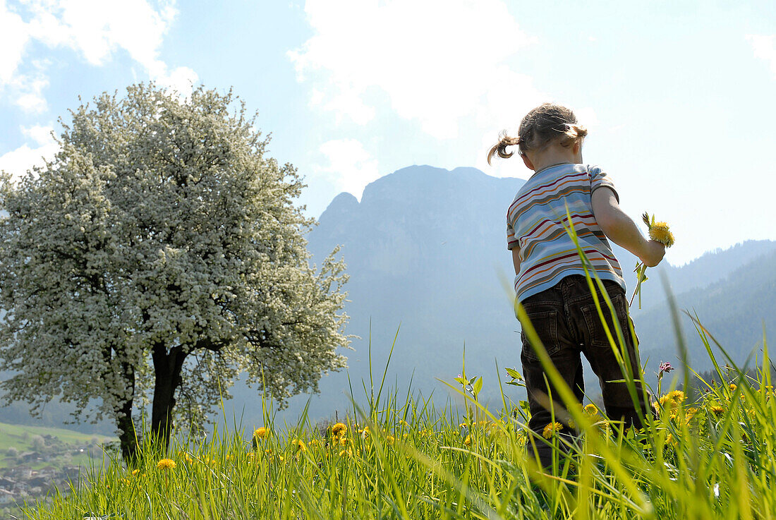 Blondes Mädchen auf einer Blumenwiese in den Bergen, Völs am Schlern, Südtirol, Italien, Europa