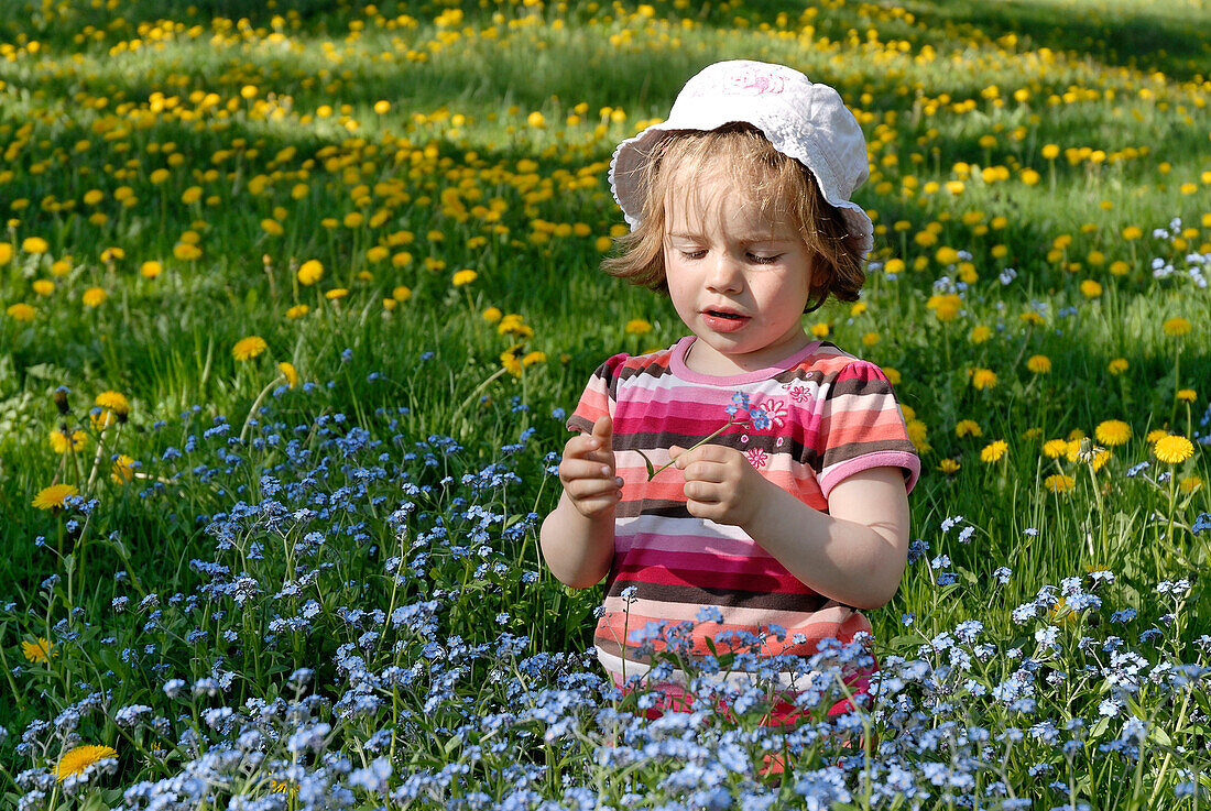 Kleines Mädchen auf einer Blumenwiese, Südtirol, Italien, Europa