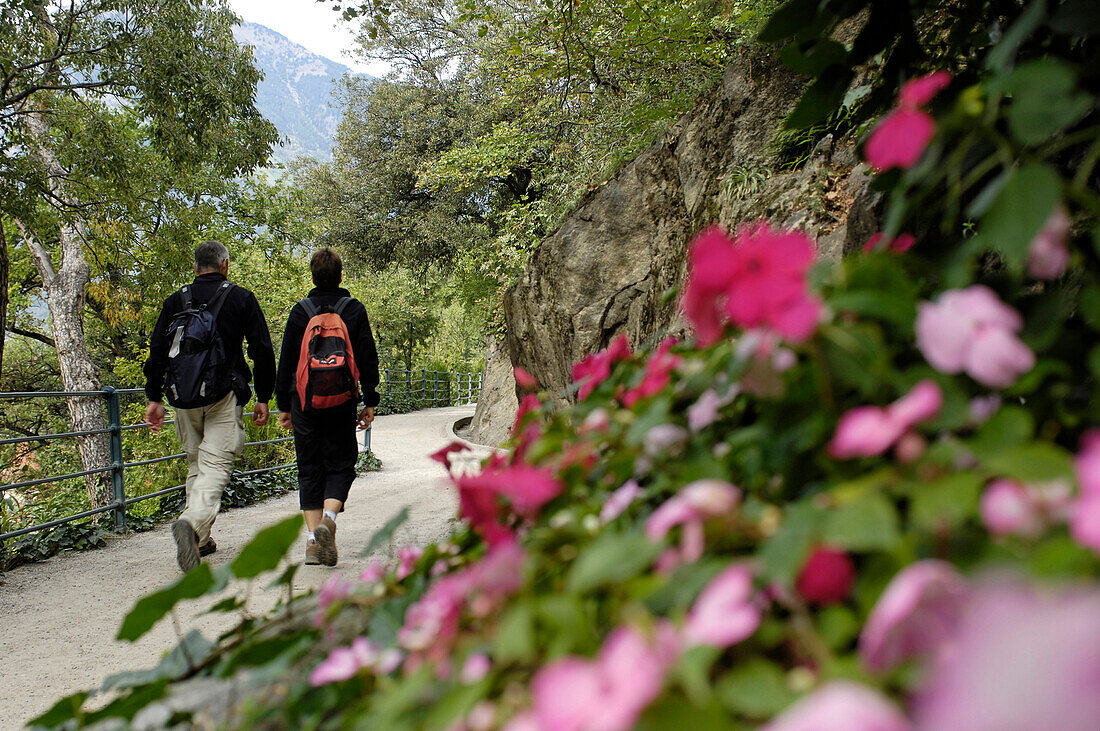 Zwei Wanderer mit Rucksack auf dem Tappeinerweg, Meran, Vinschgau, Südtirol, Italien, Europa