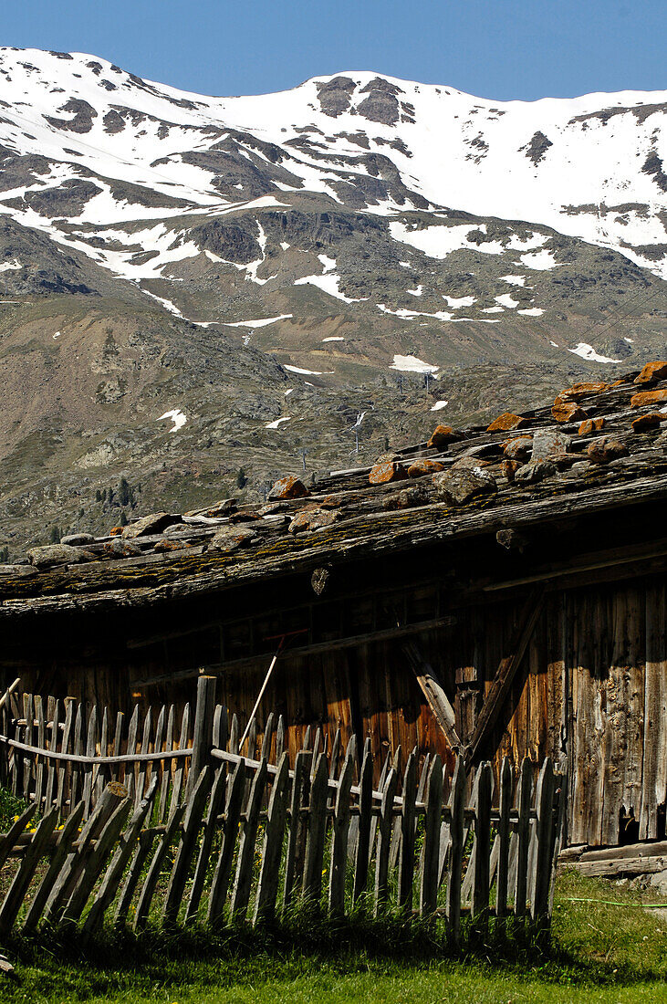 Berghütte mit verwittertem Holzzaun vor schneebedeckten Berggipfeln, Schnalstal, Vinschgau, Südtirol, Italien, Europa