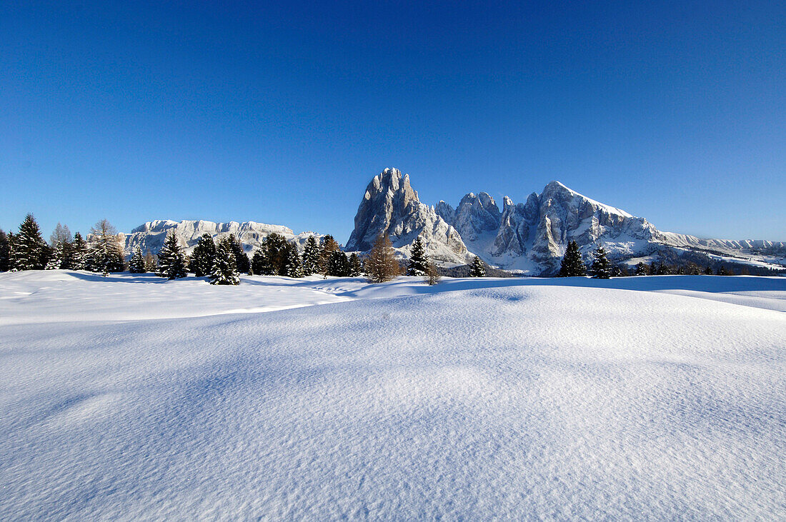 Schneebedeckte Seiser Alm unter blauem Himmel, Dolomiten, Südtirol, Italien, Europa