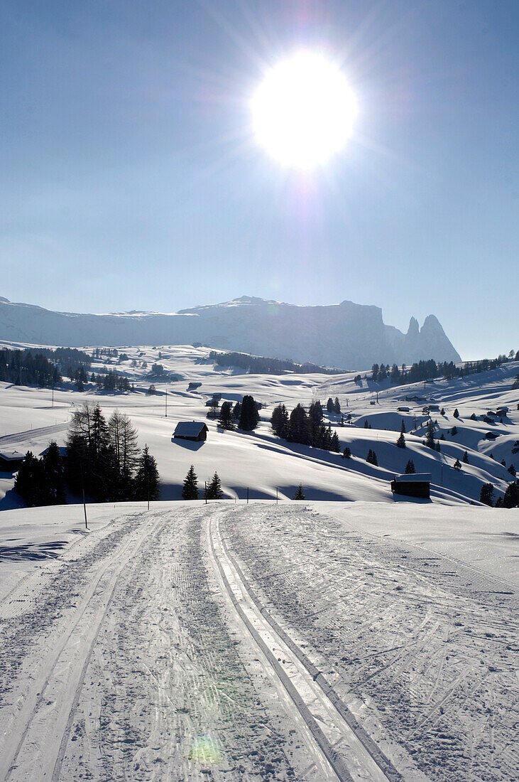 Cross country ski run and snowy scenery in the sunlight, Sciliar, Dolomites, South Tyrol, Italy, Europe