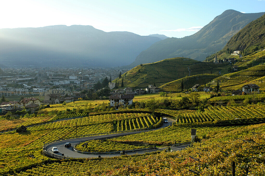 Vineyards and the Magdalena hill in the sunlight in autumn, Bozen, South Tyrol, Italy, Europe