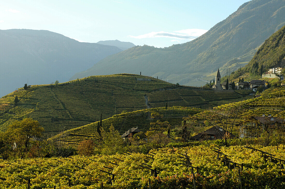 Weinfelder und der Magdalena Hügel im Sonnenlicht im Herbst, Bozen, Südtirol, Italien, Europa