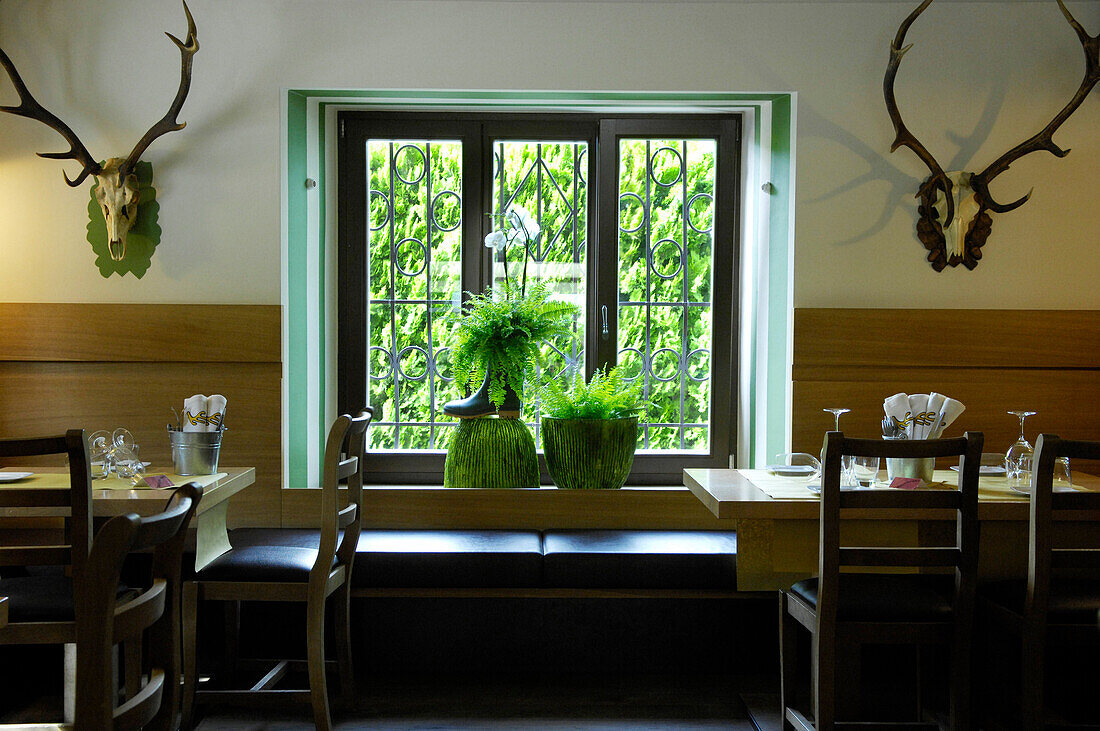 The deserted dining area of the restaurant Zum Hirschen, Vilpian, South Tyrol, Italy, Europe