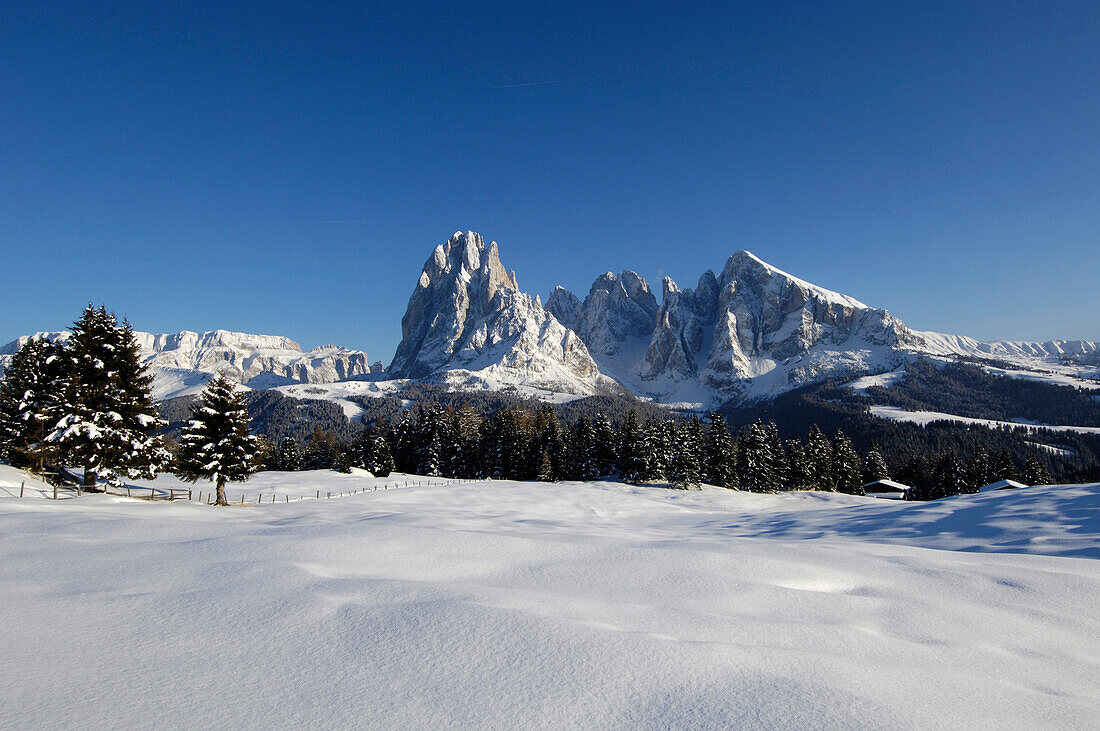 Almhütte und verschneite Berge unter blauem Himmel, Seiser Alm, Eisacktal, Südtirol, Italien, Europa