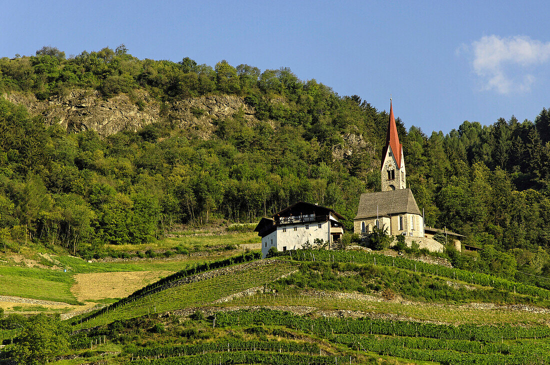 Bauernhaus und Kirche oberhalb eines Weinbergs im Sonnenlicht, Eisacktal, Südtirol, Italien, Europa