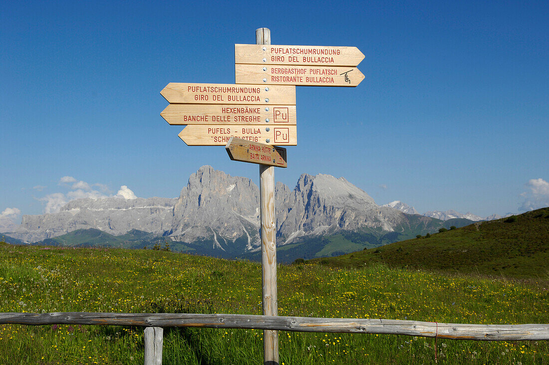 Way sign in the sunlight in front of alpine meadow, Alpe di Siusi, Valle Isarco, South Tyrol, Italy, Europe