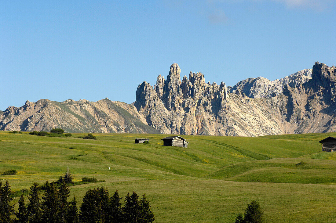 Alpine meadow with cabins in summer, Alpe di Siusi, Valle Isarco, South Tyrol, Italy, Europe