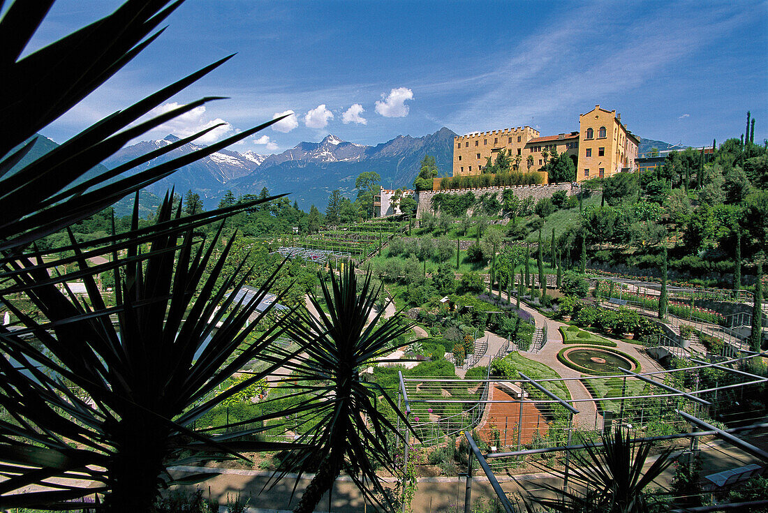 The garden of Trauttmansdorff castle, Meran, South Tyrol, Italy