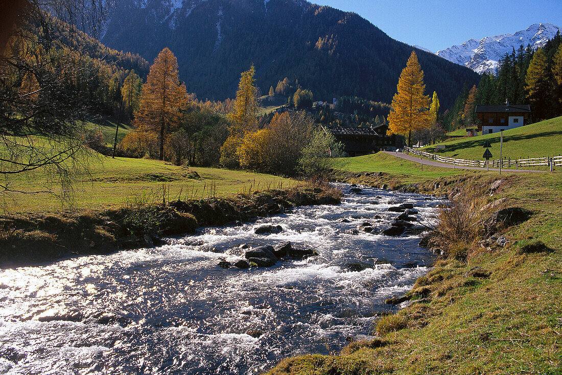 Autumn landscape with mountain stream, Falschauer stream, St. Gertraud, Ulten valley, South Tyrol, Italy