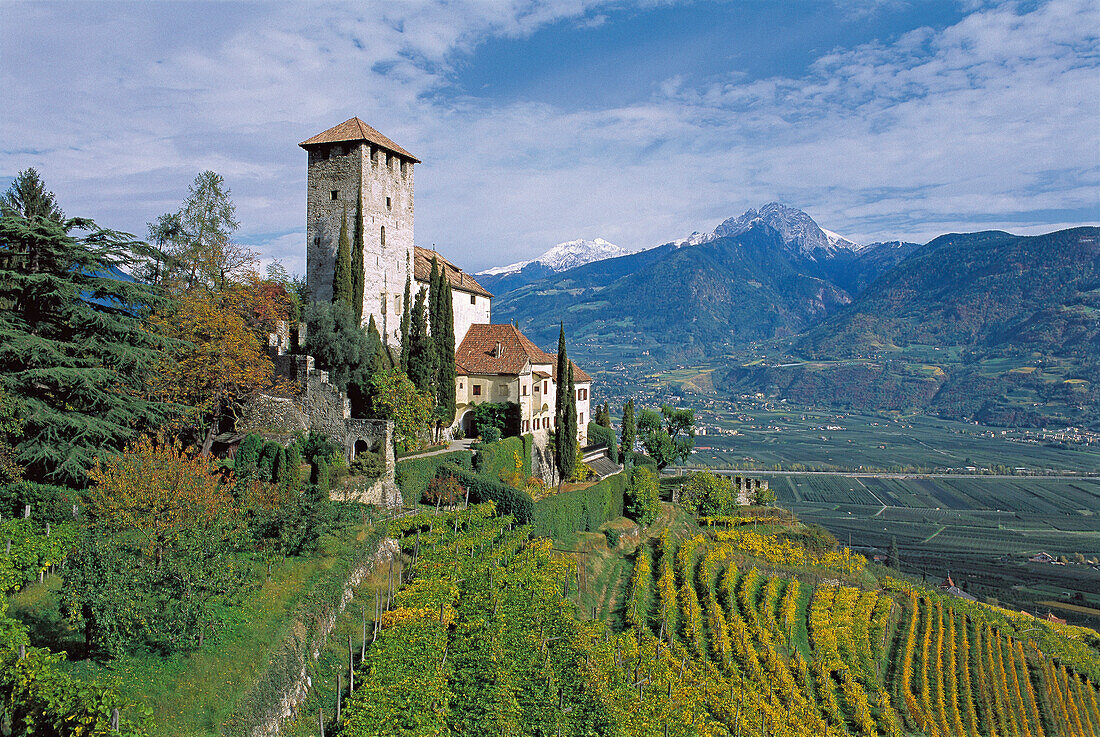 Lebenberg Castle with vineyards, Tscherms, Burggrafenamt, South Tyrol, Italy