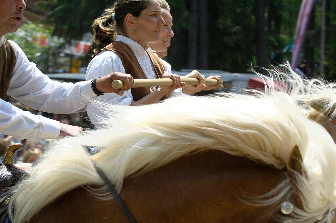 Labyrinth, Turnierspiele, Oswald von Wolkenstein Ritt, Veranstaltung 2005, Seis am Schlern, Südtirol, Italien