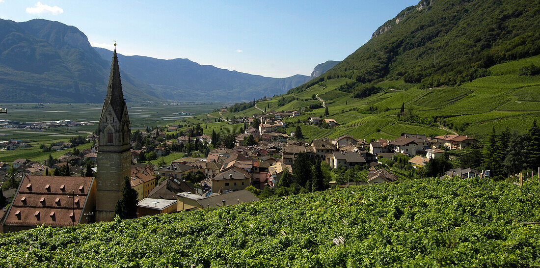 Reblandschaft mit Dorf und Kirche, Tramin an der Weinstrasse, Bozen, Südtirol, Italien