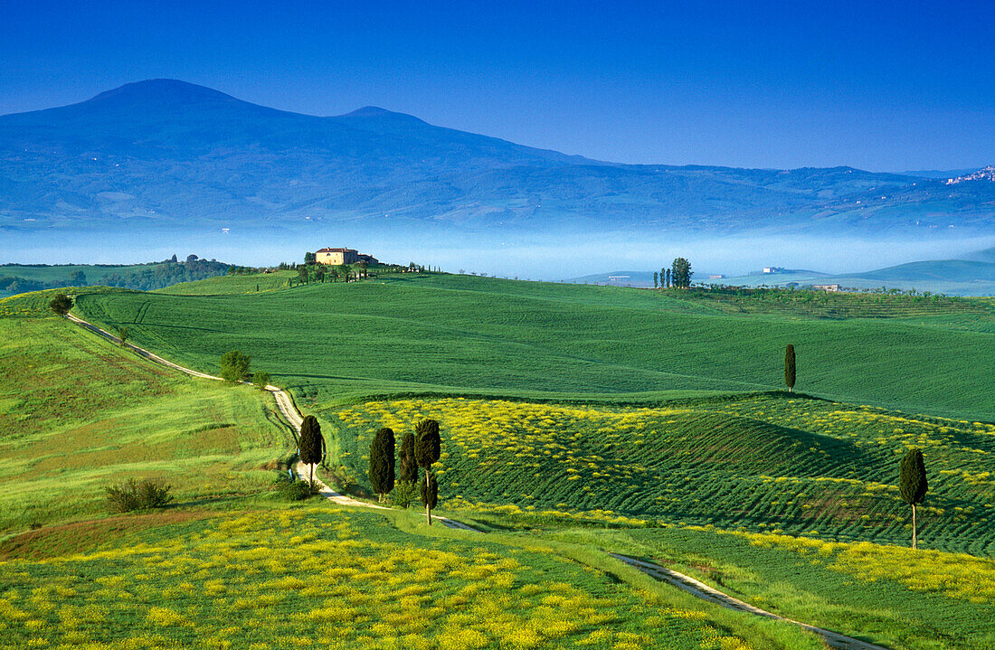 Landschaft mit Landhaus unter blauem Himmel, Blick zum Monte Amiata, Val d'Orcia, Toskana, Italien, Europa
